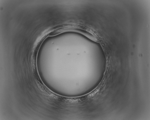 X0000070380343200606231718