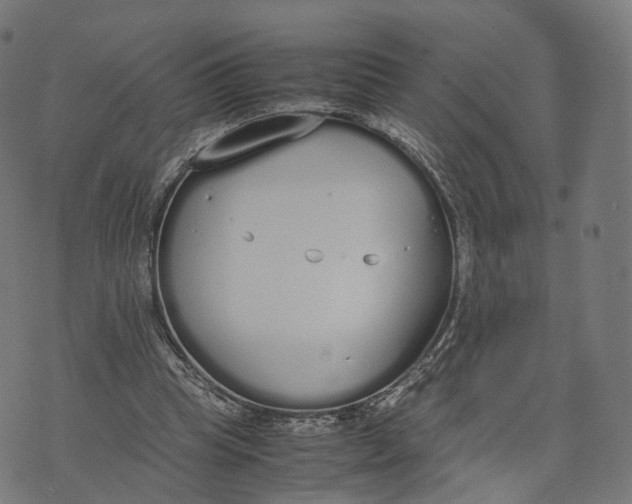 X0000070380345200606231718