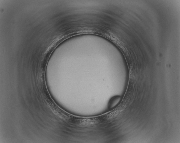 X0000070380347200606231718