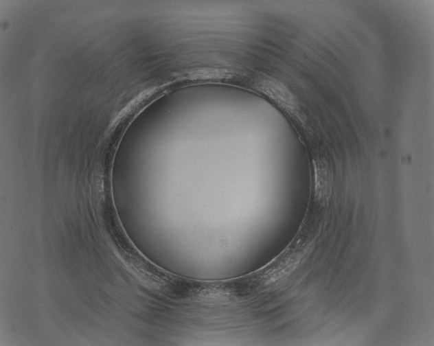 X0000070380348200606231718