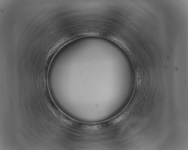 X0000070380349200606231718