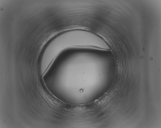 X0000070380350200606231718