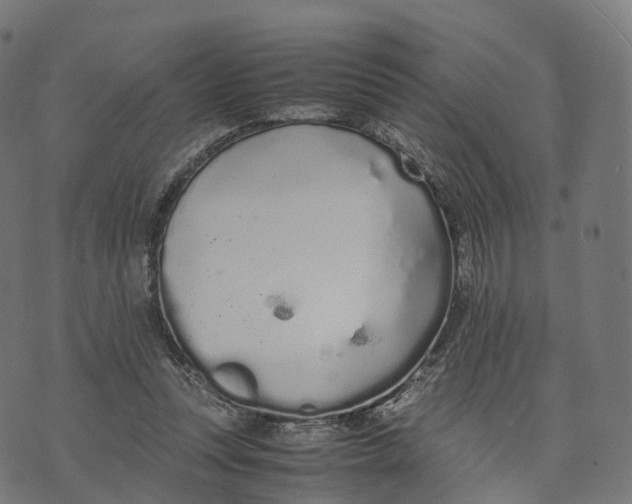 X0000070380351200606231718