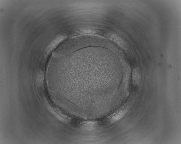 X0000070380352200606231718