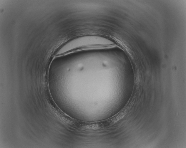 X0000070380353200606231718