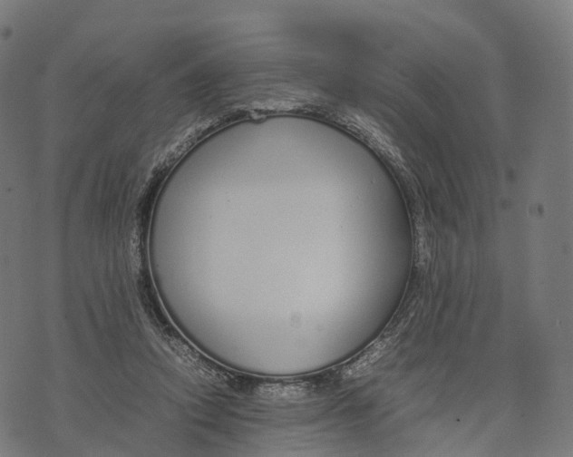 X0000070380354200606231718