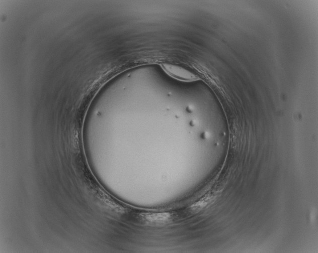 X0000070380355200606231718