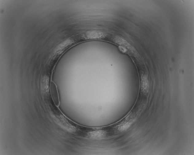 X0000070380356200606231718