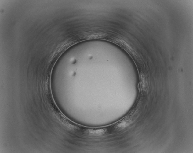 X0000070380357200606231718