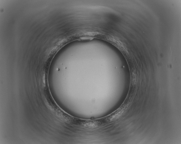 X0000070380358200606231718