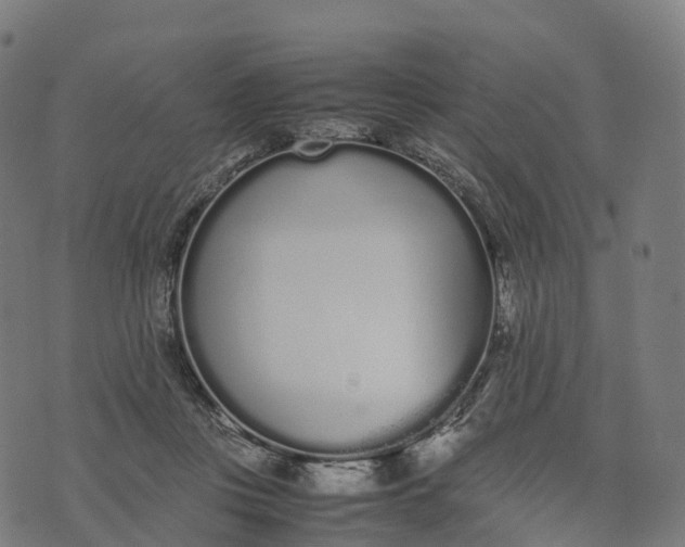 X0000070380359200606231718