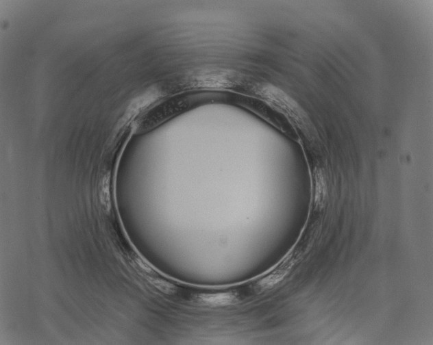 X0000070380360200606231718