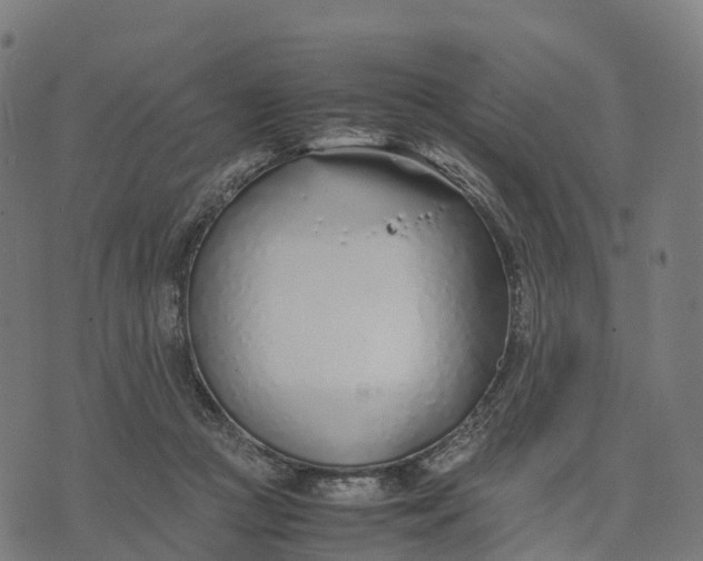 X0000070380361200606231718