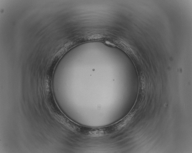 X0000070380362200606231718