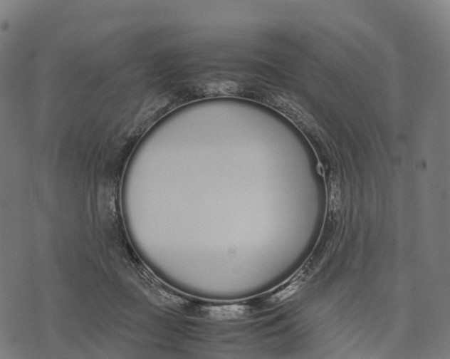 X0000070380363200606231718