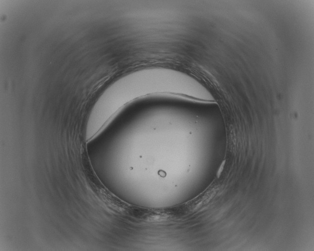 X0000070380364200606231718