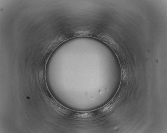 X0000070380365200606231718