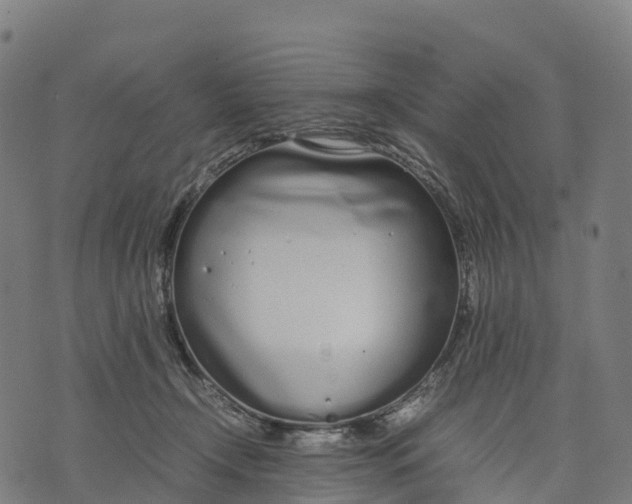 X0000070380366200606231718