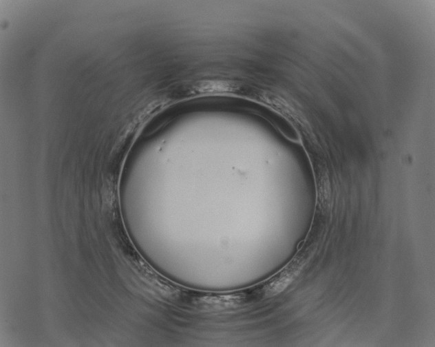 X0000070380367200606231718