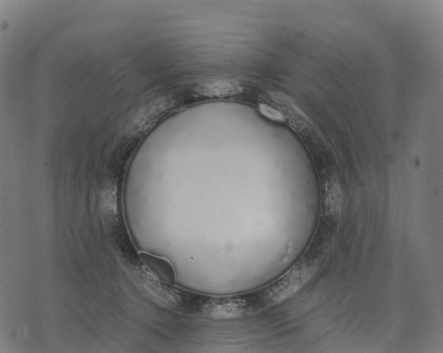 X0000070380368200606231718