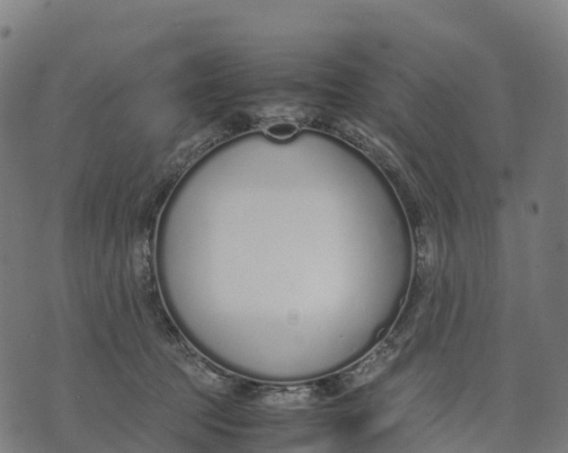 X0000070380369200606231718