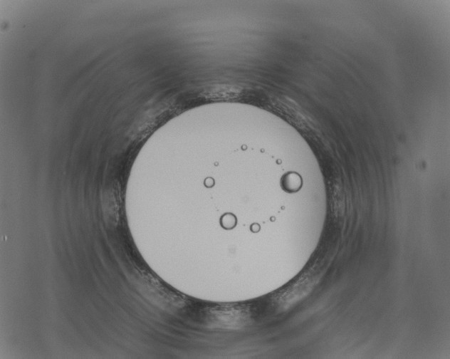 X0000070380370200606231718