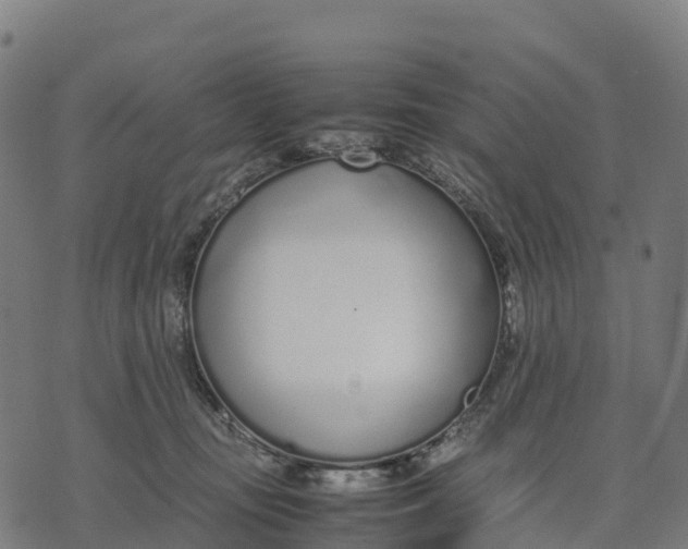 X0000070380371200606231718