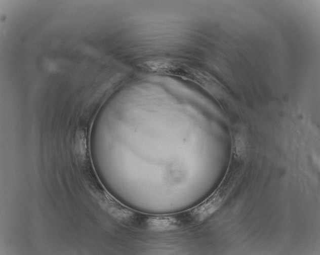 X0000070380372200606231718