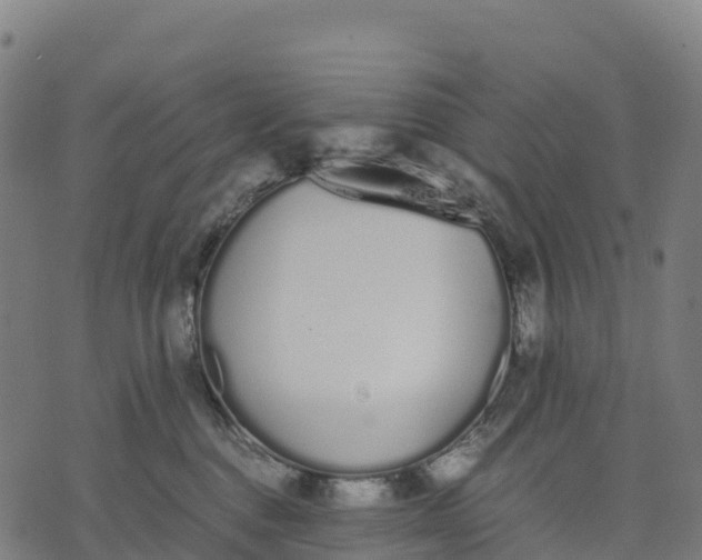 X0000070380376200606231718