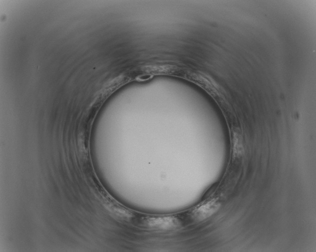 X0000070380377200606231718