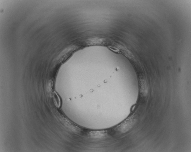 X0000070380378200606231718