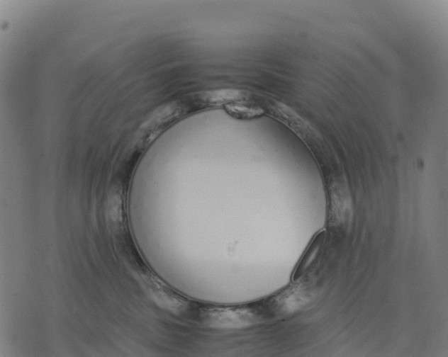 X0000070380379200606231718