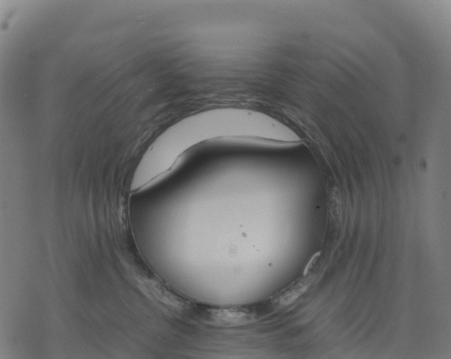 X0000070380380200606231718