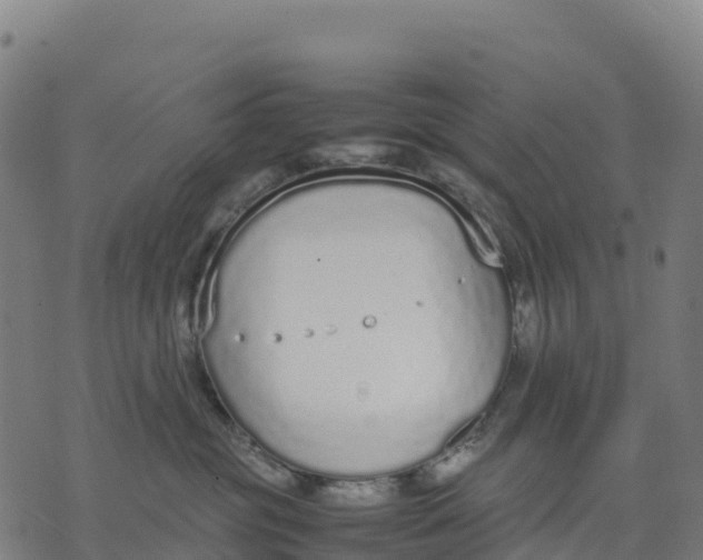 X0000070380381200606231718