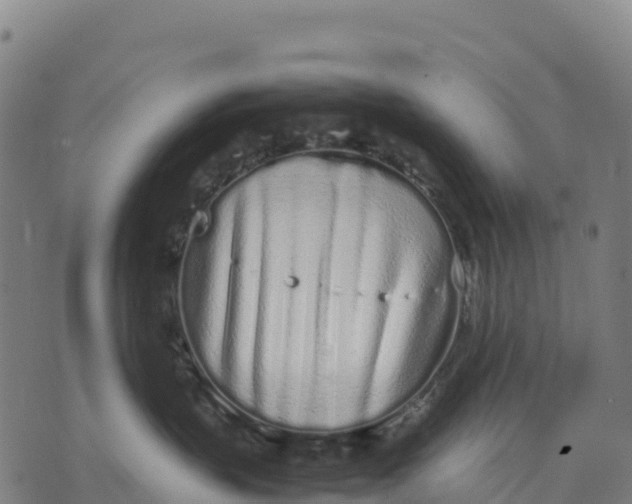 X0000070380383200606231718