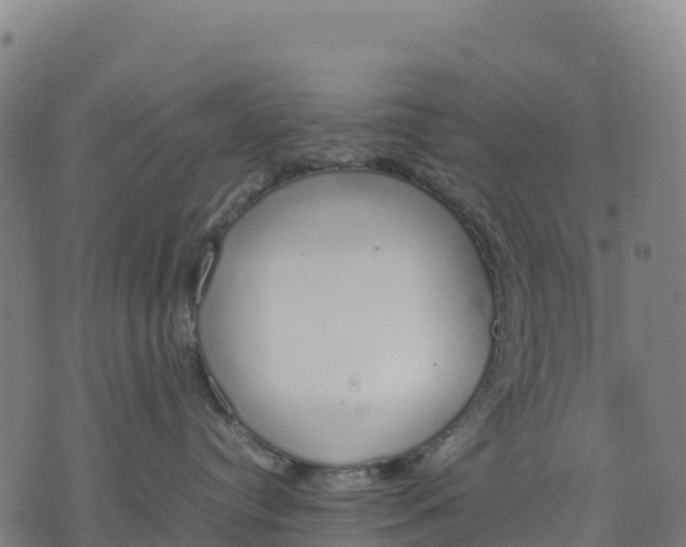 X0000070380384200606231718