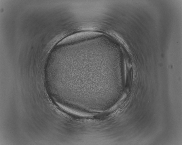 X0000070380385200606231718