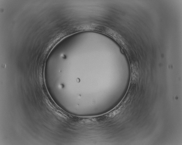 X0000070380386200606231718