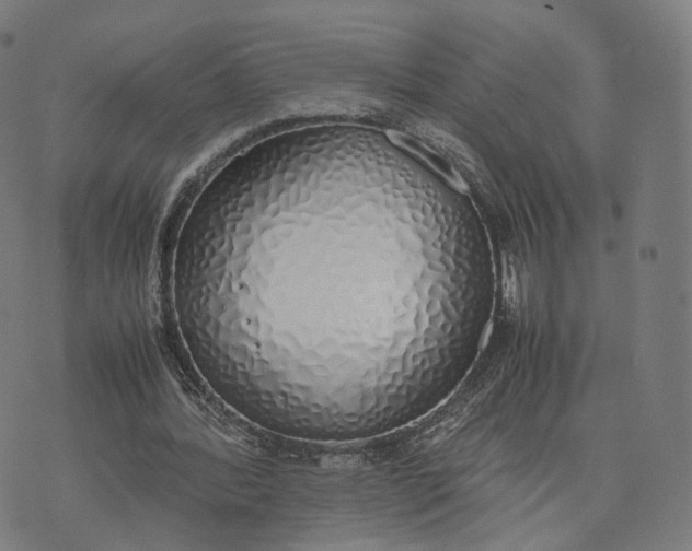 X0000070380388200606231718