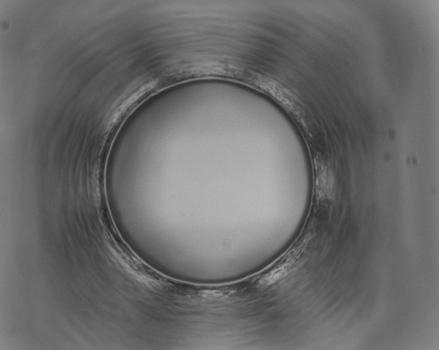 X0000070380390200606231718