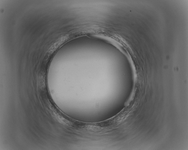 X0000070380393200606231718