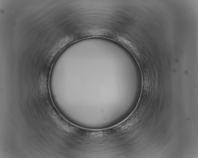 X0000070380394200606231718