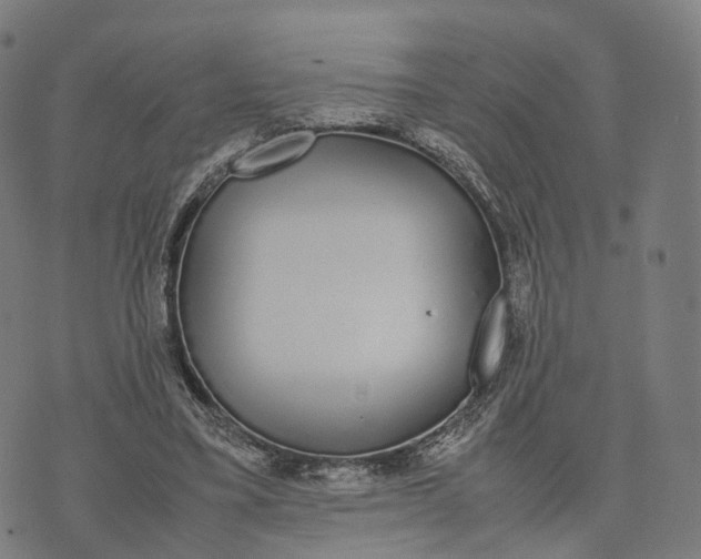 X0000070380395200606231717