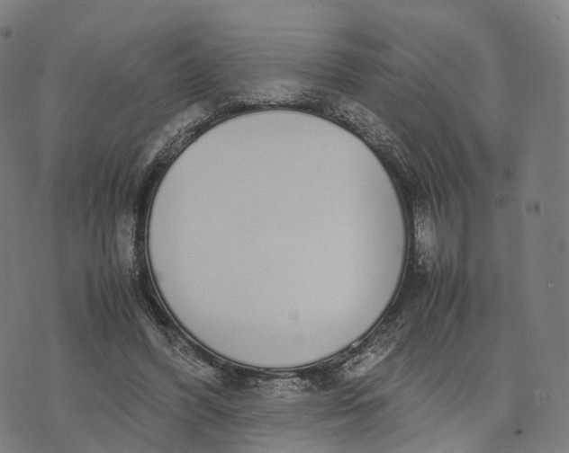 X0000070380396200606231717