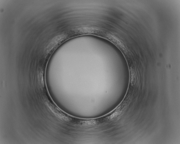 X0000070380398200606231717