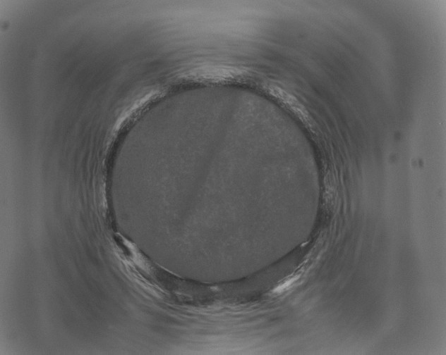 X0000070380399200606231717