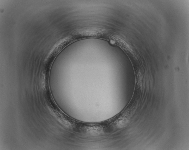 X0000070380400200606231717