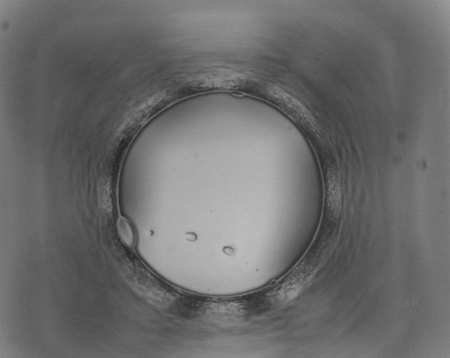 X0000070380403200606231717