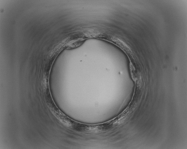 X0000070380405200606231717