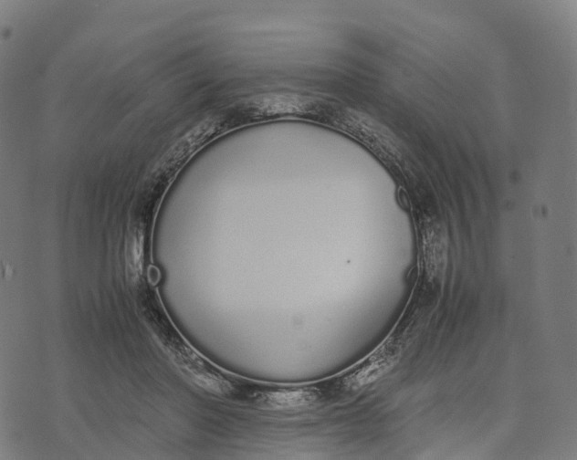 X0000070380406200606231717